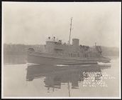 Steam Tug, Hull #504